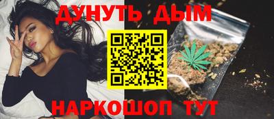 гидра Будённовск