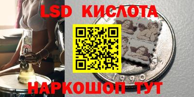 гидра Будённовск