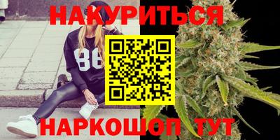 гидра Будённовск