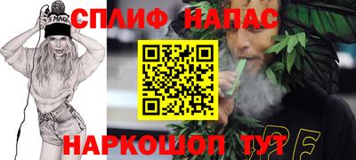 Альфа ПВП Обь