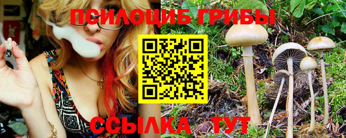 Галлюциногенные грибы Magic Shrooms  Вход с VPN  Фролово 