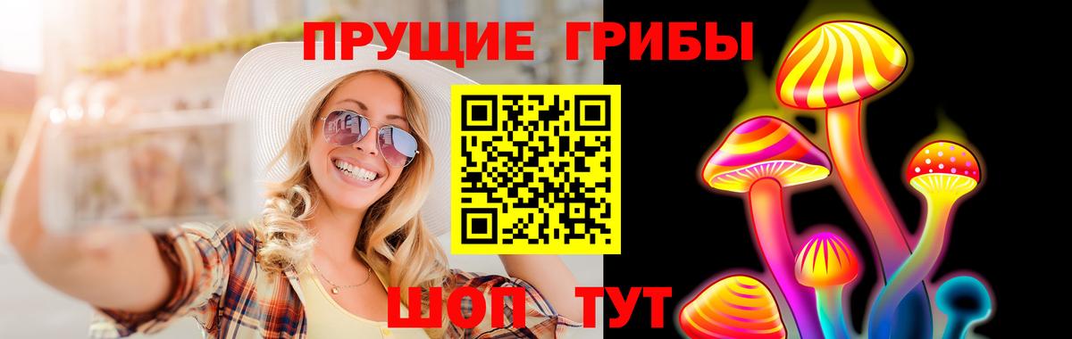 Псилоцибиновые грибы Cubensis Фролово